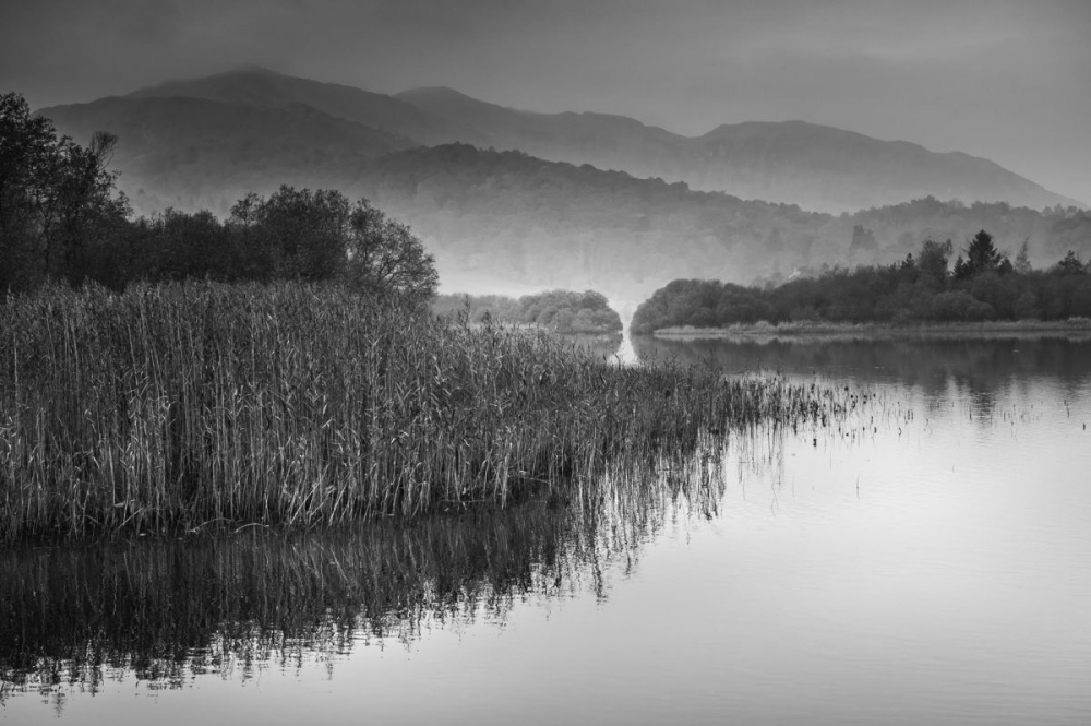 3rd reflections by Karen Gowen